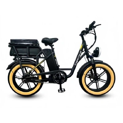Ebike สไตล์มอเตอร์ไซค์แบตเตอรี่คู่ 48V 26Ah